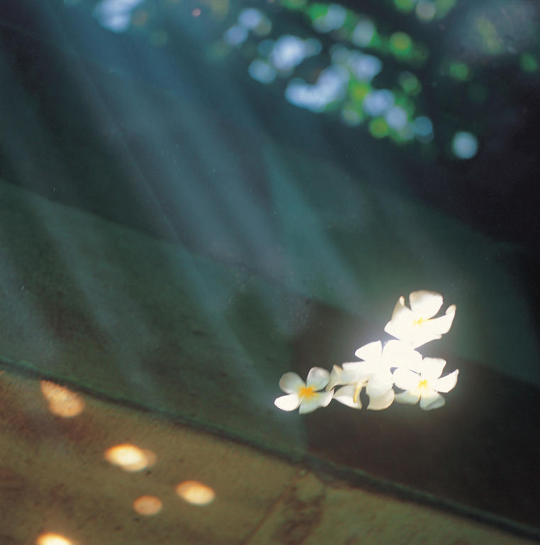Sun Spring Resort Yilan Buitenkant foto